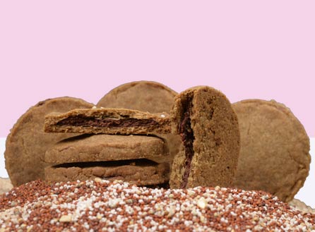 Choco Multimillet Cookies – Ashwagantha